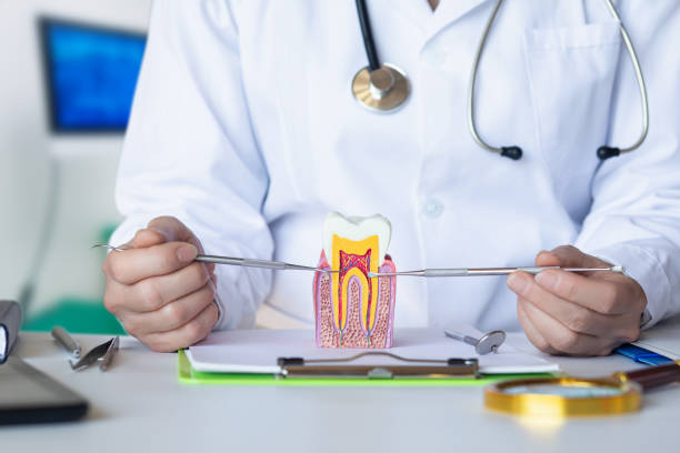 Best Knocked-Out Tooth (Avulsed Tooth) Treatment in Avon, CO
